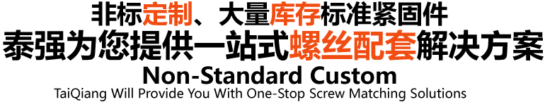 非標定制、大量庫存標準緊固件泰強為您提供一站式螺絲配套解決方案