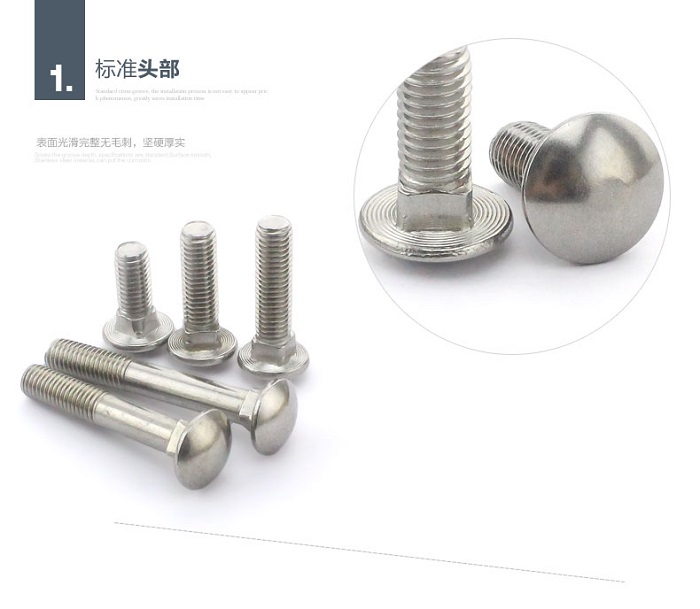 泰強(qiáng)不銹鋼馬車螺絲產(chǎn)品細(xì)節(jié)