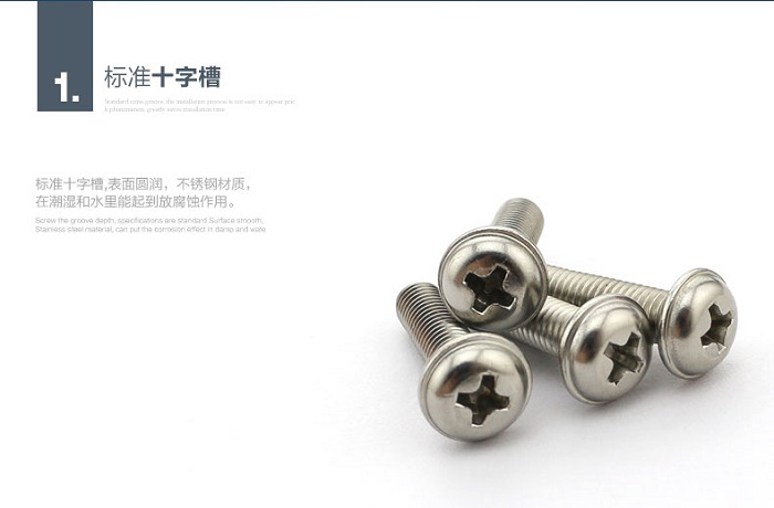 泰強不銹鋼圓頭帶墊 機螺釘 (1).jpg