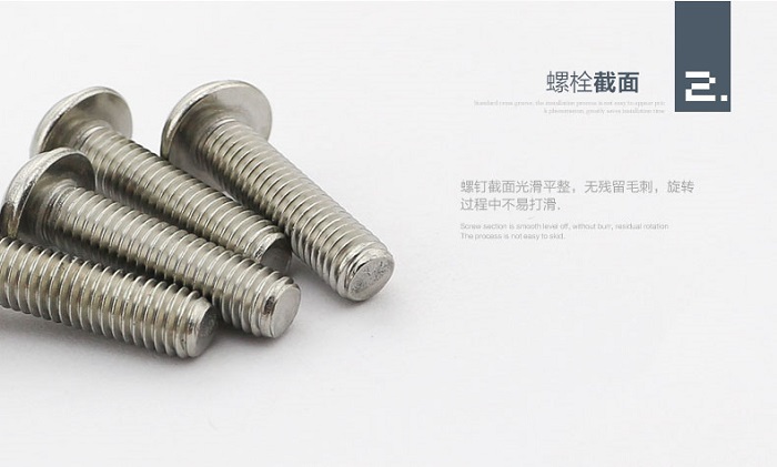 泰強不銹鋼圓頭帶墊 機螺釘2.jpg