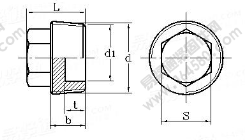 DIN 909-1991 六角頭螺塞